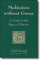 Meditation without Gurus by Clark Strand