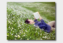 Man Reading in Meadow